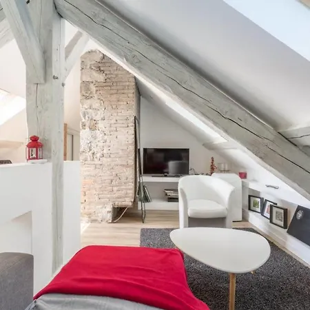 #f4 Les Bons Enfants Appartement Grenoble
