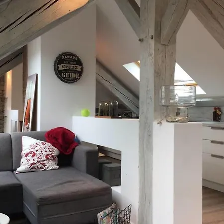 #f4 Les Bons Enfants Appartement Grenoble